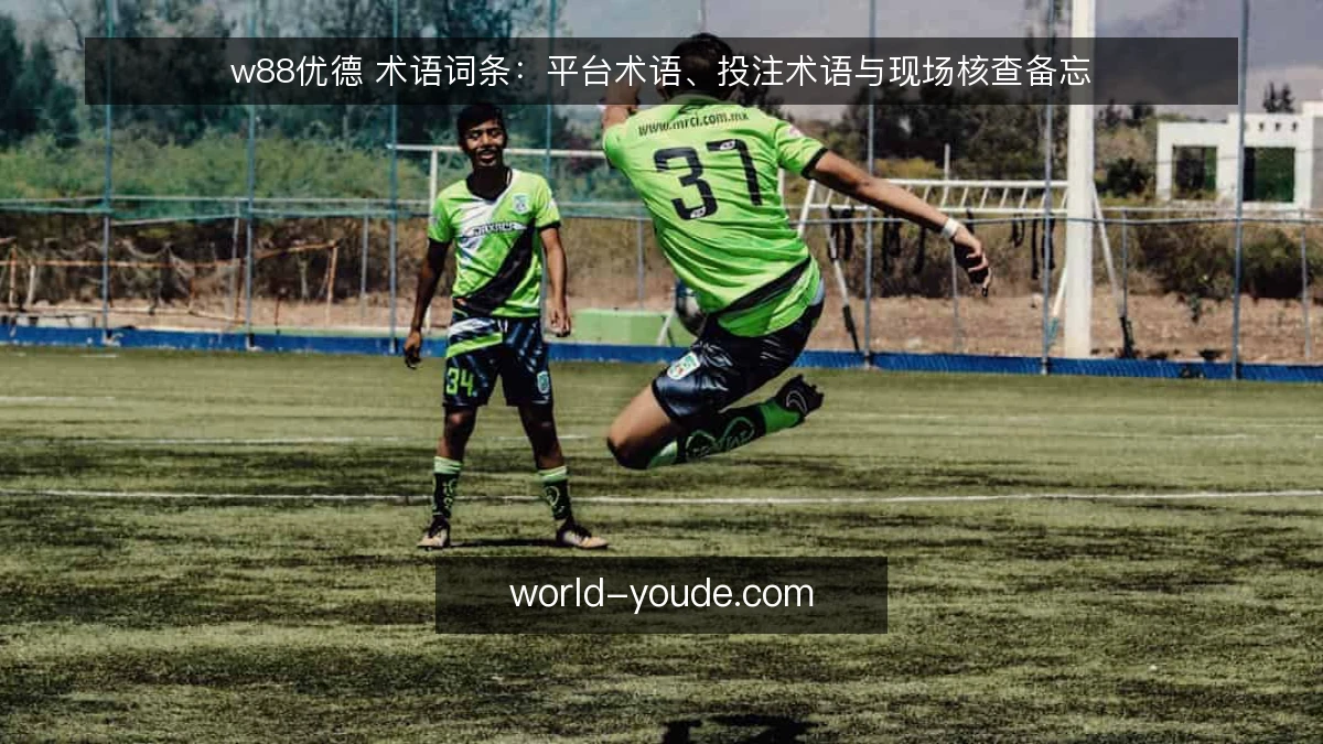w88优德 术语词条:平台术语、投注术语与现场核查备忘