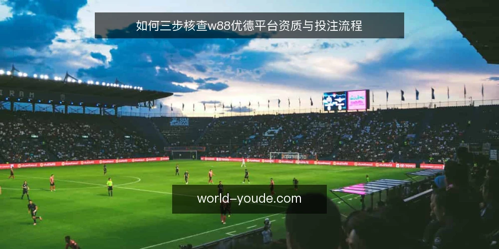如何三步核查w88优德平台资质与投注流程 — 准备阶段:明确核查目标与材料清单 配图