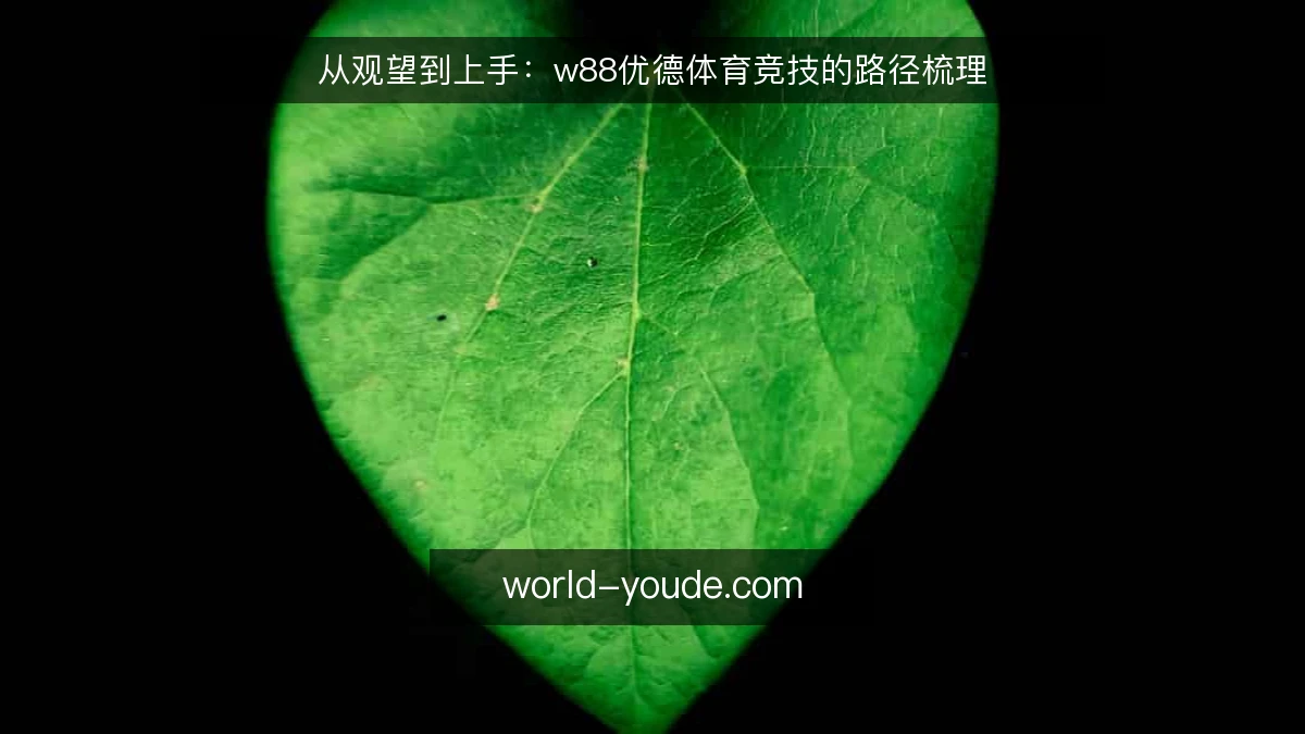 从观望到上手:w88优德体育竞技的路径梳理